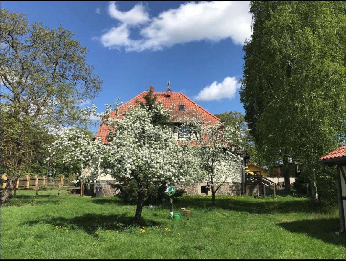 Hof Lillge Διαμέρισμα Schorfheide Εξωτερικό φωτογραφία